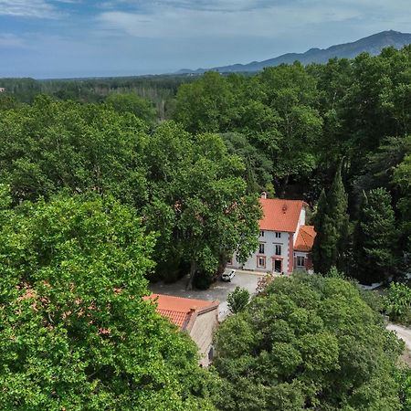 Gites Du Castell De Bles Saint-Génis Kültér fotó