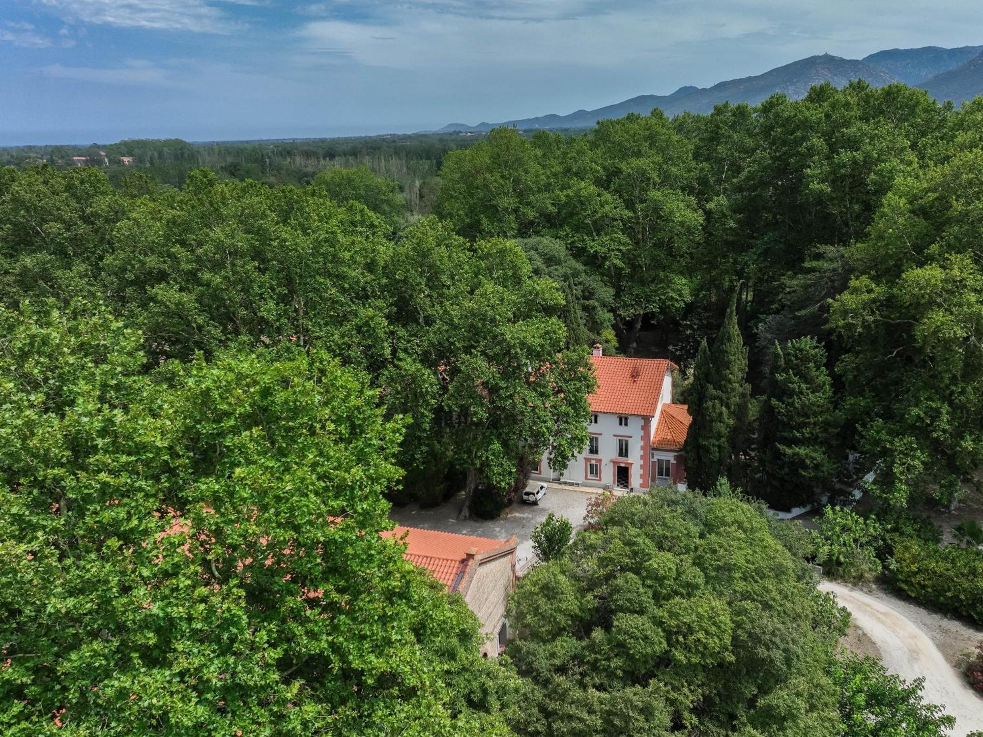 Gites Du Castell De Bles Saint-Génis Kültér fotó